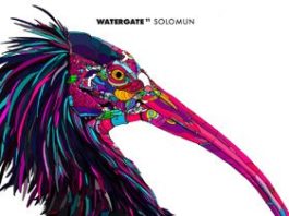 Watergate 11 by Solomun